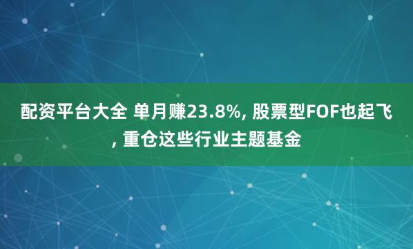 配资平台大全 单月赚23.8%, 股票型FOF也起飞, 重仓这些行业主题基金