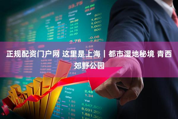 正规配资门户网 这里是上海｜都市湿地秘境 青西郊野公园